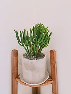 Gardenstay