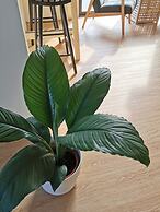 Gardenstay