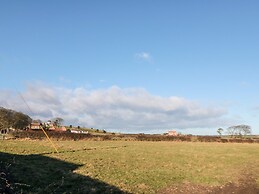 Dale View