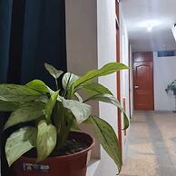 Lima Airport Hostel