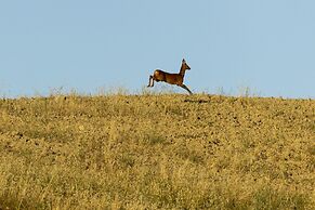 Vento d’Orcia