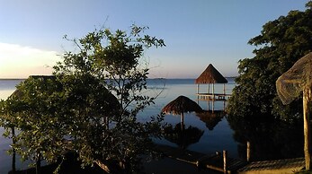 Agave Blue Bacalar