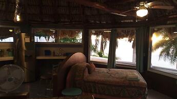 Agave Blue Bacalar
