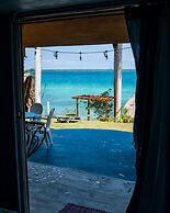 Agave Blue Bacalar