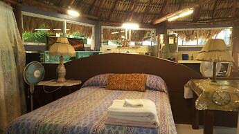 Agave Blue Bacalar