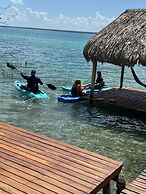 Agave Blue Bacalar