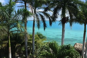 Agave Blue Bacalar