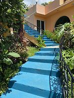 Agave Blue Bacalar