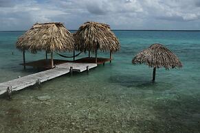 Agave Blue Bacalar