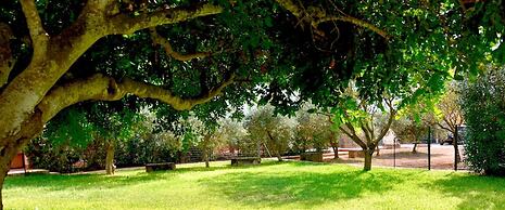 Villa Aurora, Private Pine Forest, Barbecue, Solarium