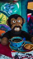 Lucky Monkey Hotel