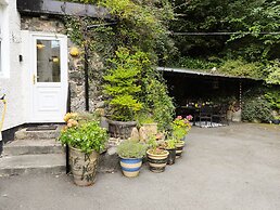 Bodhyfryd