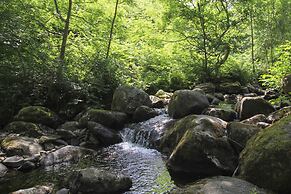 Bodhyfryd