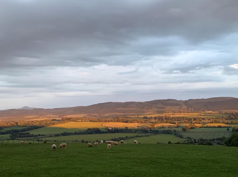Woodhead Shepherds Hut - Sleeps 2 - Mailer Farm