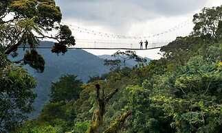 Chimpanzee Lodge
