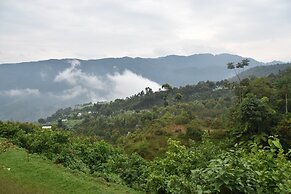 Chimpanzee Lodge