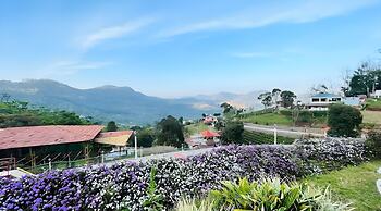 Chow Chow Valley Resorts