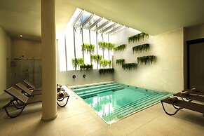 Rasim Palas (Adults Only +12)