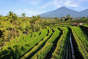 KTS - Kubu Tepi Sawah