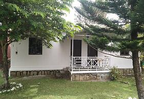 The Big Cat Den Resort