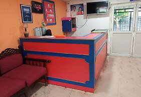 The Big Cat Den Resort