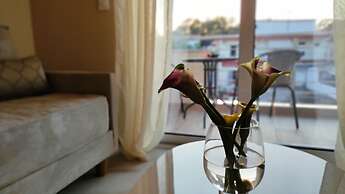 Orea Homes