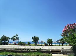 Surf Hotel