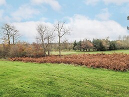 Hillside View