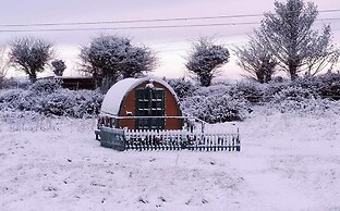 Lovely Glamping Dream Pod in St Austell, Cornwall
