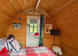 Lovely Glamping Dream Pod in St Austell, Cornwall