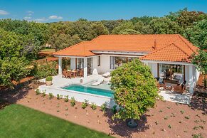 Luxury Beach Villas Porto Bus