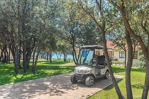Luxury Beach Villas Porto Bus