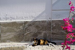 Lovely 2 Rooms Apartment With Pool and Air Con
