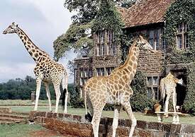 The Studio Nairobi 5 Luxury
