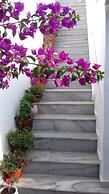 Ricos Two bedroom House - Naoussa Paros