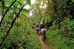Bomboli Cloud Forest