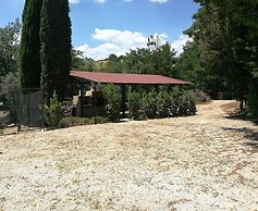 Comfortable Apartment in Umbria