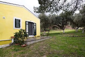 Cute Yellow Handmade House With Garden