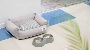 Gapyeong Highmong Pet-friendly Kids Pool