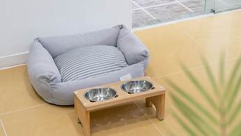 Gapyeong Highmong Pet-friendly Kids Pool
