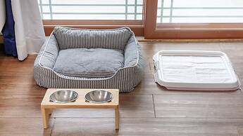 Gapyeong Highmong Pet-friendly Kids Pool