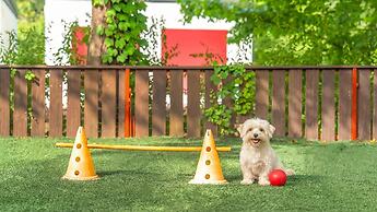 Gapyeong Highmong Pet-friendly Kids Pool