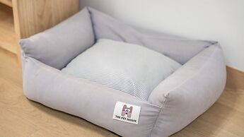 Gapyeong Highmong Pet-friendly Kids Pool