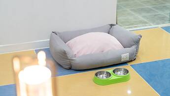 Gapyeong Highmong Pet-friendly Kids Pool