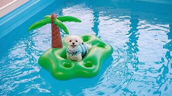 Gapyeong Highmong Pet-friendly Kids Pool