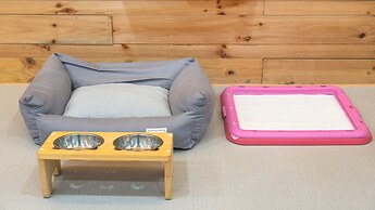 Gapyeong Highmong Pet-friendly Kids Pool