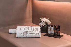 Collini Hotel Mykonos, WorldHotels Elite