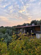 Mount Ida Detox Hotel Adults only Izmir