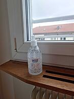 Entire Flat Close to Airport, Train, Center for 7