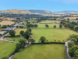 Oak Tree View